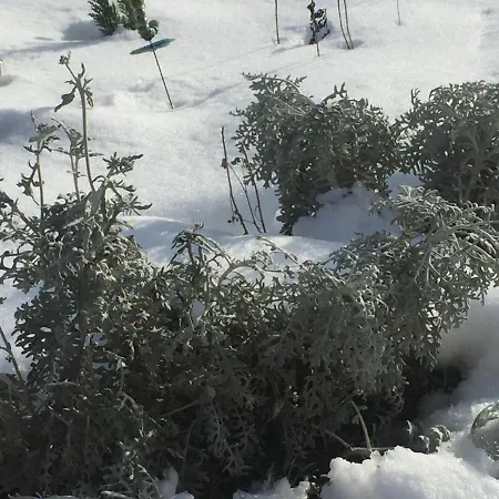 Ferme De La Petite Fagne 3* Spa