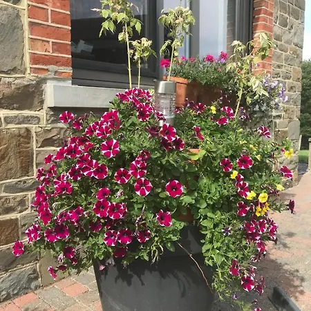 Bed & Breakfast Ferme De La Petite Fagne