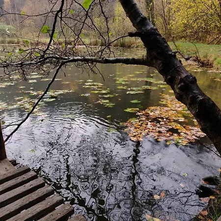 Bed & Breakfast Ferme De La Petite Fagne