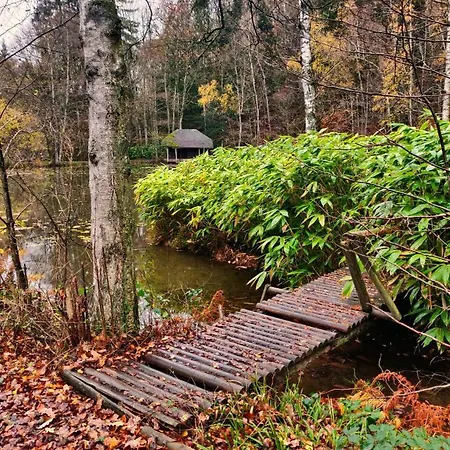 Frühstückspension Ferme De La Petite Fagne