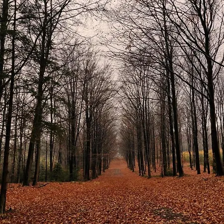 Ferme De La Petite Fagne Bed & Breakfast Spa