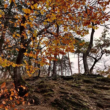 Ferme De La Petite Fagne