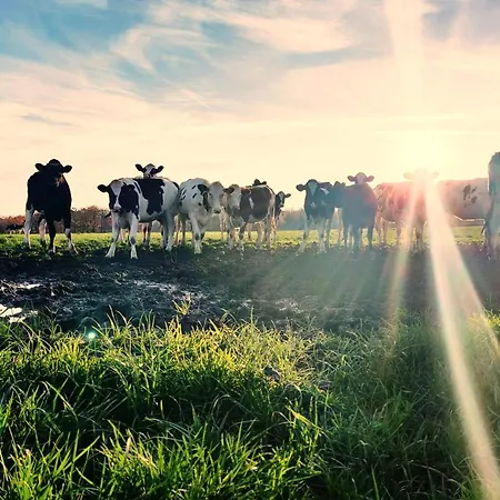 Frühstückspension Ferme De La Petite Fagne 3*