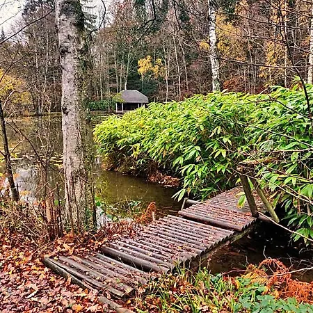 B&B Ferme De La Petite Fagne